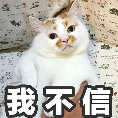 信不信